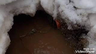 Грунтовые воды. Весна...