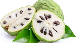 The Health Benefits of Soursop