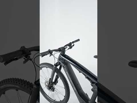 Porsche eBike