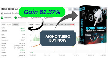 Moho Turbo EA Review | MT4 Swing & Price Action Expert Advisor with News Filter