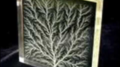 c4urselfification_0001.wmv