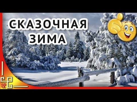 Зимнее утро. Красивый зимний лес. Прогулка по зимнему лесу. Сказочная зима.Зимняя природа
