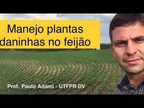 Vídeo: A aplicação posterior do helb está aberta?