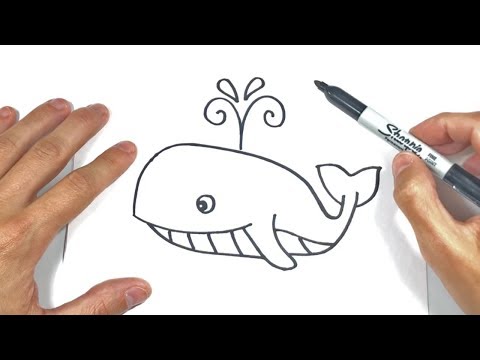 Cómo dibujar una Ballena Paso a Paso | Dibujo de Ballena