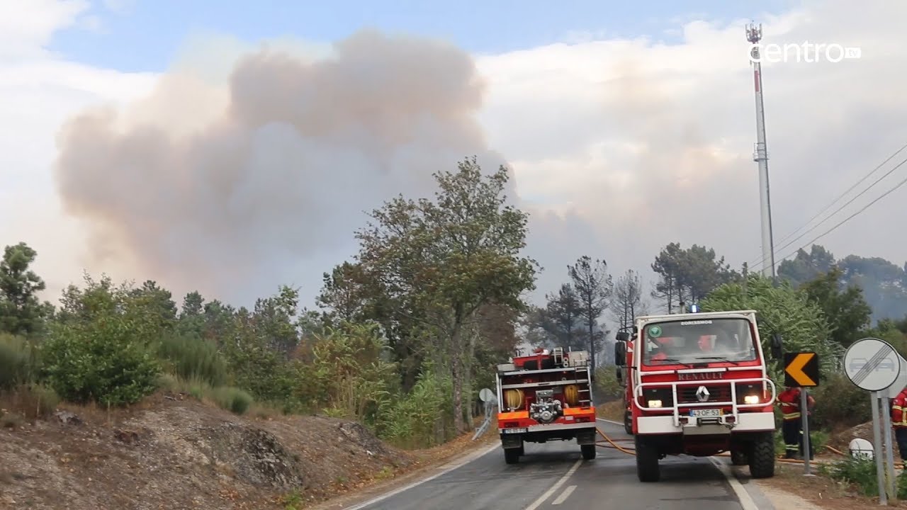 Região de Coimbra aposta numa primeira intervenção musculada para combater fogos jornal do brasil