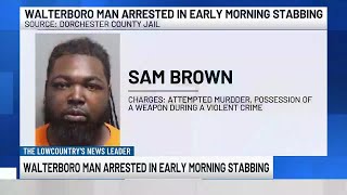 VIDEO: Walterboro man arrested after early morning stabbing, deputies say
