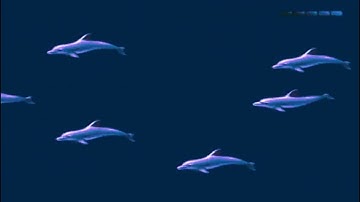 Major Axis - Sonar Echoes (Official Video)