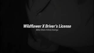 Wildflower X Driver's License | Tiktok Version Agnesium Mashup