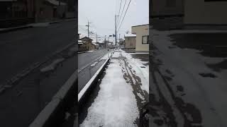 New Japan bus vlog #1