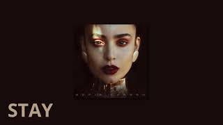 Sofia Carson - Stay Instrumental