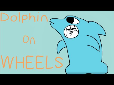 dolphin-on-wheels-meme