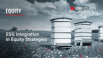 ESG Integration in Equity Strategies