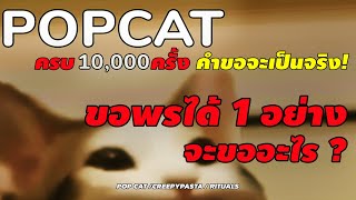 เมื่อครบ 10,000 ครั้ง ขอพรอะไรก็ได้ 1อย่าง คุณจะขออะไร? l POPCAT