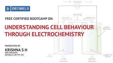 Understanding Cell Behaviour Through Electrochemistry