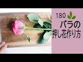 【押し花の作り方】ーバラの押し花の作り方　絶対王者の人気のお花バラを押し花にして楽しもう！