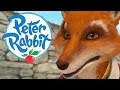 Peter rabbit  scary fox mr tod