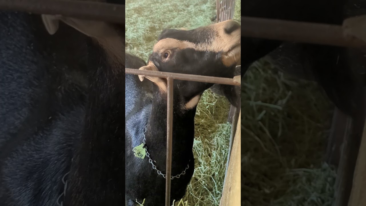 California’s Hidden Wine Country | Discover Anderson Valley