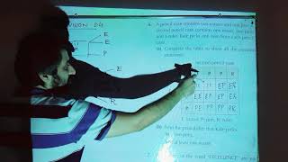 D4 New Syllabus Mathematics EX 11A Q6 Probability