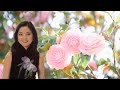 みちづれ Life Companion アジアの歌姫 鄧麗君 Teresa Teng テレサ・テン