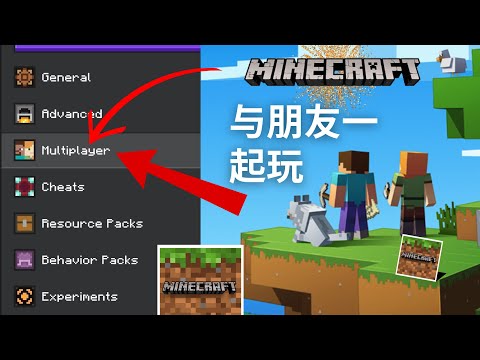 如何在 Minecraft PE 中玩多人游戏 | 如何与朋友一起玩 Minecraft