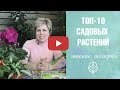 Топ 10 садовых растений 🌱Теневыносливые