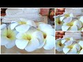 Hand made plumeria flowers|Foam sheet flowers|Paper plumeria flowers | Foam flowers