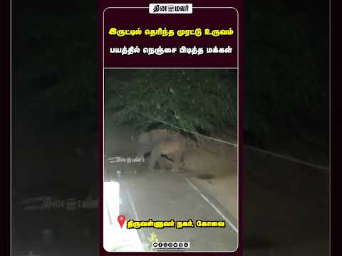 இருட்டில் தெரிந்த முரட்டு உருவம் பயத்தில் நெஞ்சை பிடித்த மக்கள்