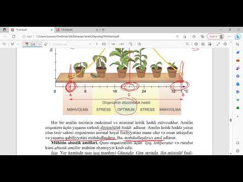 Video: Davranışın dispozisional izahı nədir?