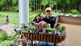 Creating Colorful Shade Containers | Gardening with Creekside
