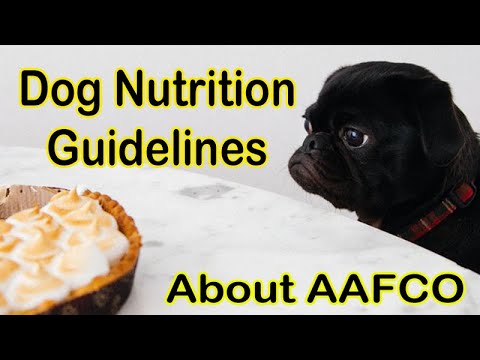 Video: AAFCO-Approved Pet Food: Vše, Co Potřebujete Vědět