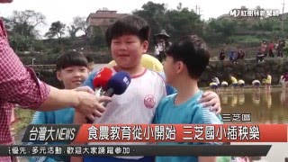 1050401 食農教育從小開始 三芝國小插秧樂