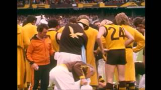 Ultimate AFL: 1970s – Superstars &amp; Highlights