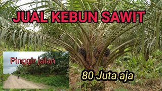 JUAL KEBUN SAWIT