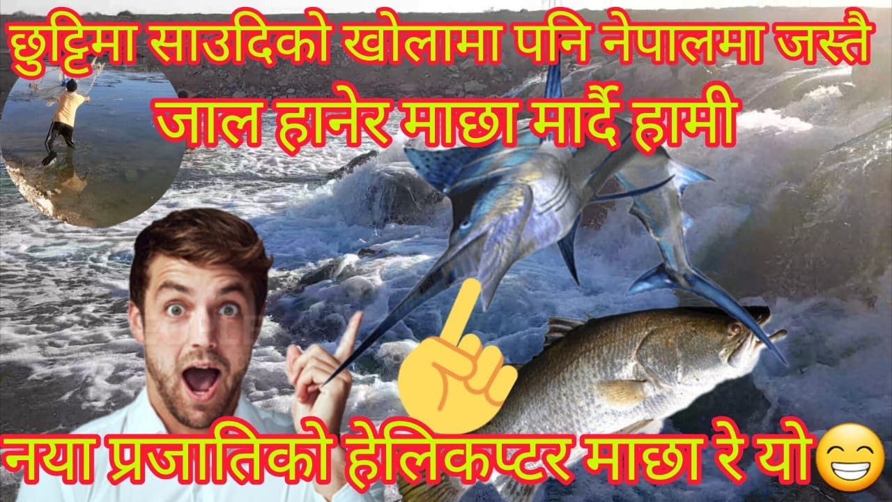 साऊदीमा पनि नेपालमै जस्तो जाल हानेर माछा मार्न गको जीन्दगीमा नदेखेको हेलिकप्टर  माछा Natural.40