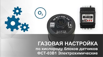 ГАЗОВАЯ НАСТРОЙКА по кислороду | Блоки датчиков ФСТ-03В1 Электрохимические