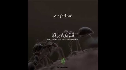 رَبِّ أَوْزِعْنِي أَنْ أَشْكُرَ نِعْمَتَكَ الَّتِي أَنْعَمْتَ عَلَيَّ - القارئ إسلام صبحي