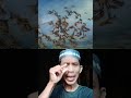 #Temukan Gambar Tersembunyi