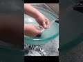 Diy brush cleaning trick   lice comb  dish pod