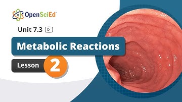 Unit 7.3 Lesson 2 | OpenSciEd On-Demand Resources