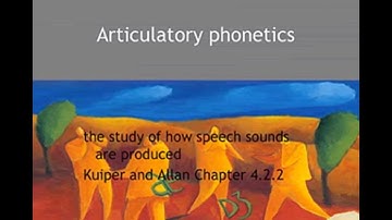 Kuiper and Allan - An Introduction to English Language 3e - Sounds - Organs