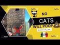 BOARDING up my ITALIAN VILLA not from BURGLARS but from CATS!!! Episode 5