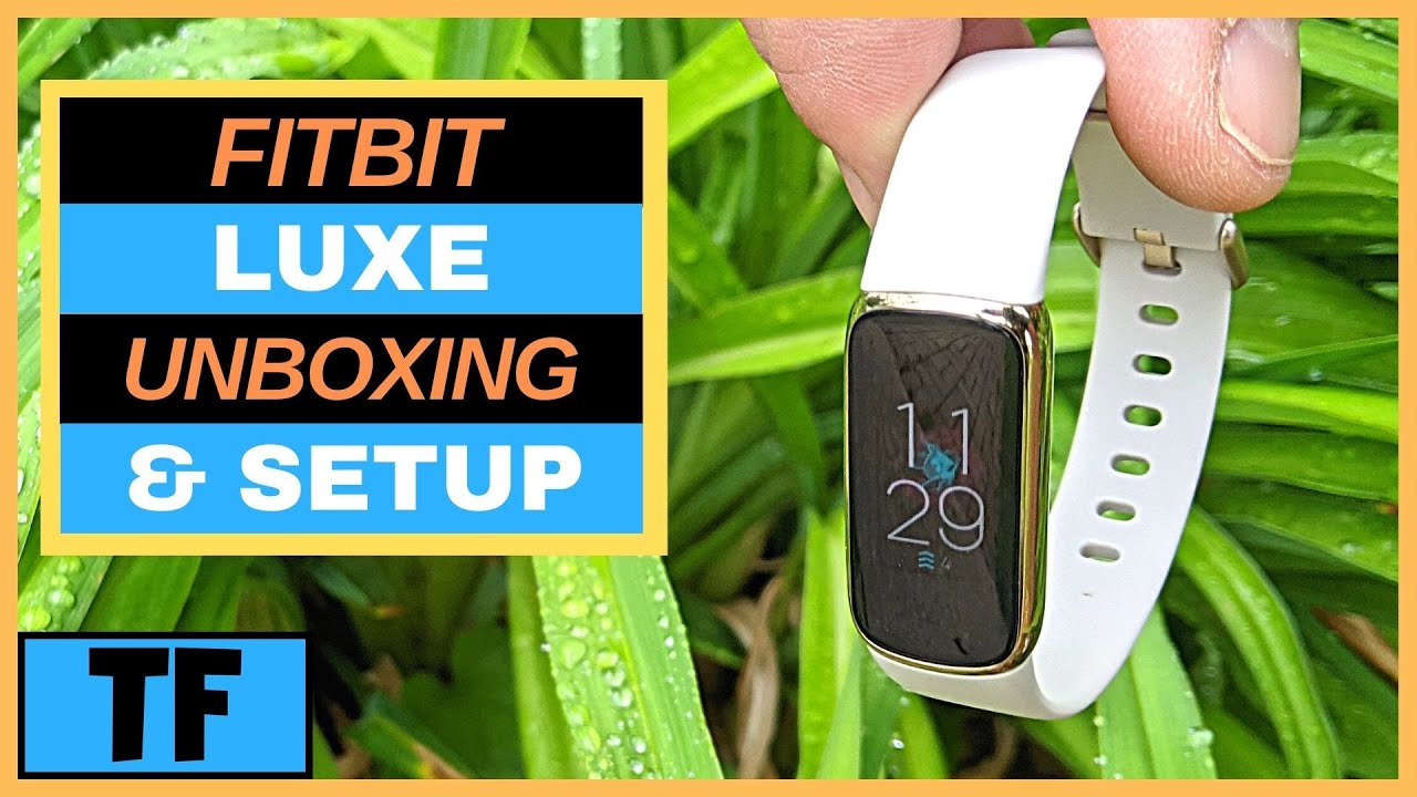 How do I get started with Fitbit Luxe? - Fitbit Help Center