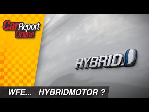 Video: Was ist ein Hybrid-Beispiel?