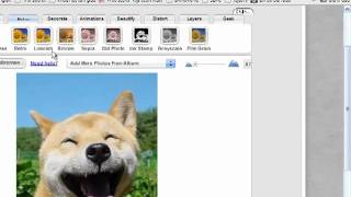 Hướng dẫn chỉnh sửa ảnh trực tuyến với Photobucket screenshot 5