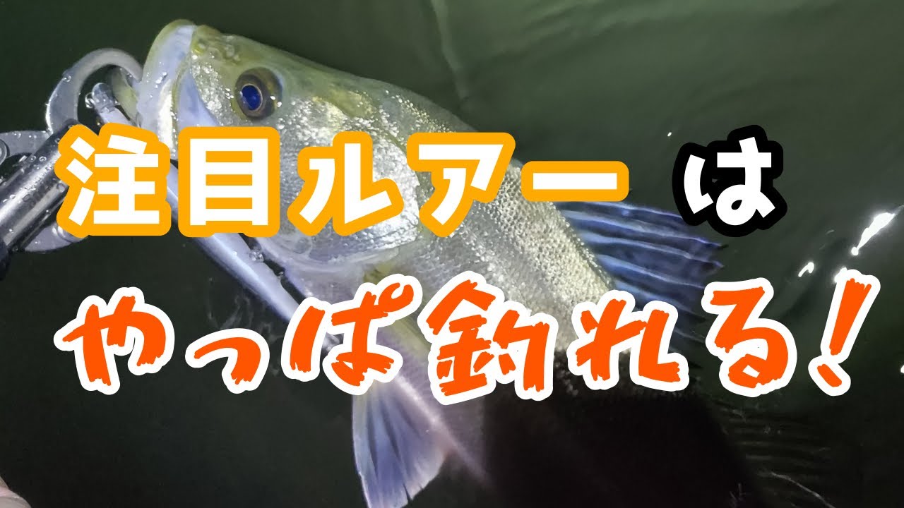 ナイトシーバス 新たに一軍確定2つのルアーが活躍する バチ抜けと得意のスリム系ミノー Youtube ナイトシーバス 新たに一軍確定2つのルアーが活躍する バチ抜けと得意のスリム系ミノー Youtube