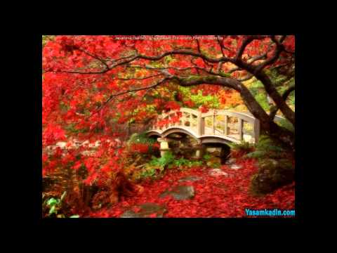 Lustral - In My Life (Slow Dancing Society Remix)