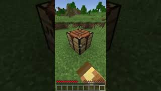 Celebrity Minecraft in a nutshell (Read description) Net Worth