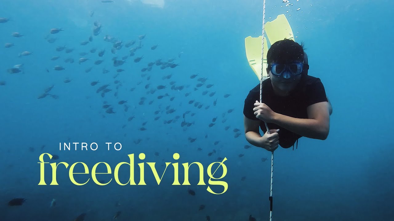 Intro to Freediving Maximum Freediving Mabini, Batangas YouTube