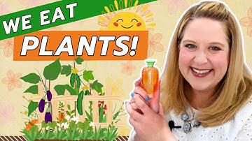 Plants We Eat – Discovering Edible Plants in Online Virtual Preschool Circle Time Class