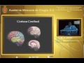 Neurobiología del alcohol-Dr. Mario Zavala González-11Sep2012